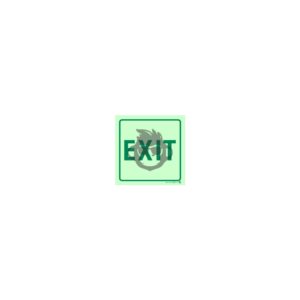 E32G - Exit Green SABS sign